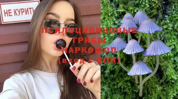 кокс Корсаков