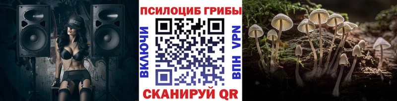 Псилоцибиновые грибы GOLDEN TEACHER  Купить  Иланский 