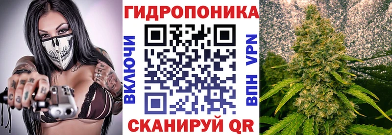 Купить где  Иланский  Конопля планчик 
